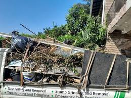 Best Dumpster Rental Services  in Crestline, CA